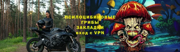 дживик Арсеньев