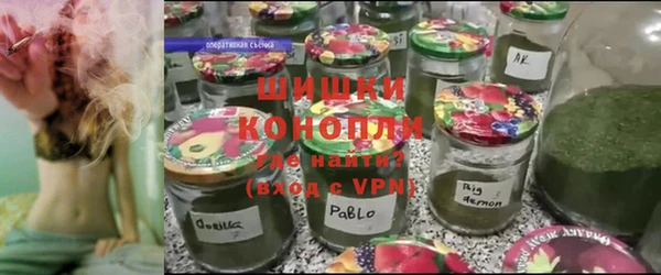 гидропоника Алзамай
