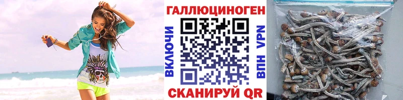 Псилоцибиновые грибы Psilocybine cubensis гидра как войти Лахденпохья
